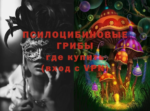 дурь Магас