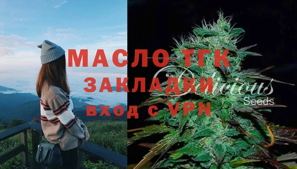 дурь Магас