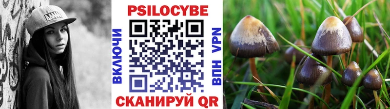 Купить где  Стародуб  Галлюциногенные грибы ЛСД 